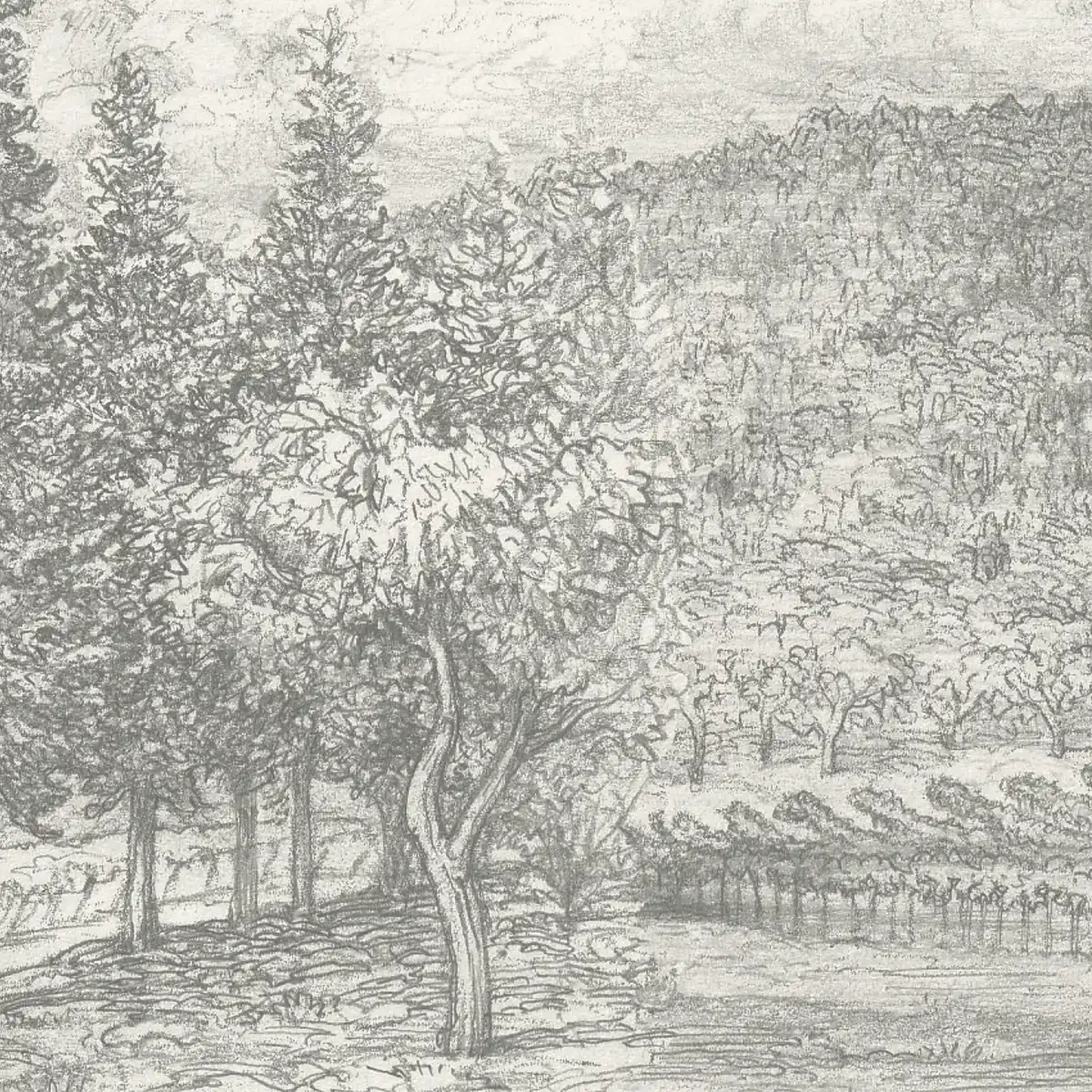 A black and white drawing of trees and a river.